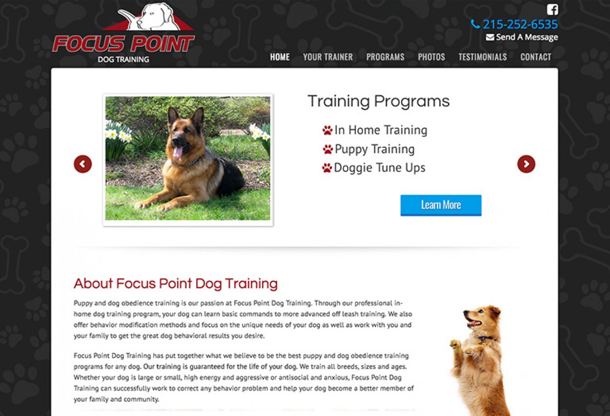 Focus Point Dog Training